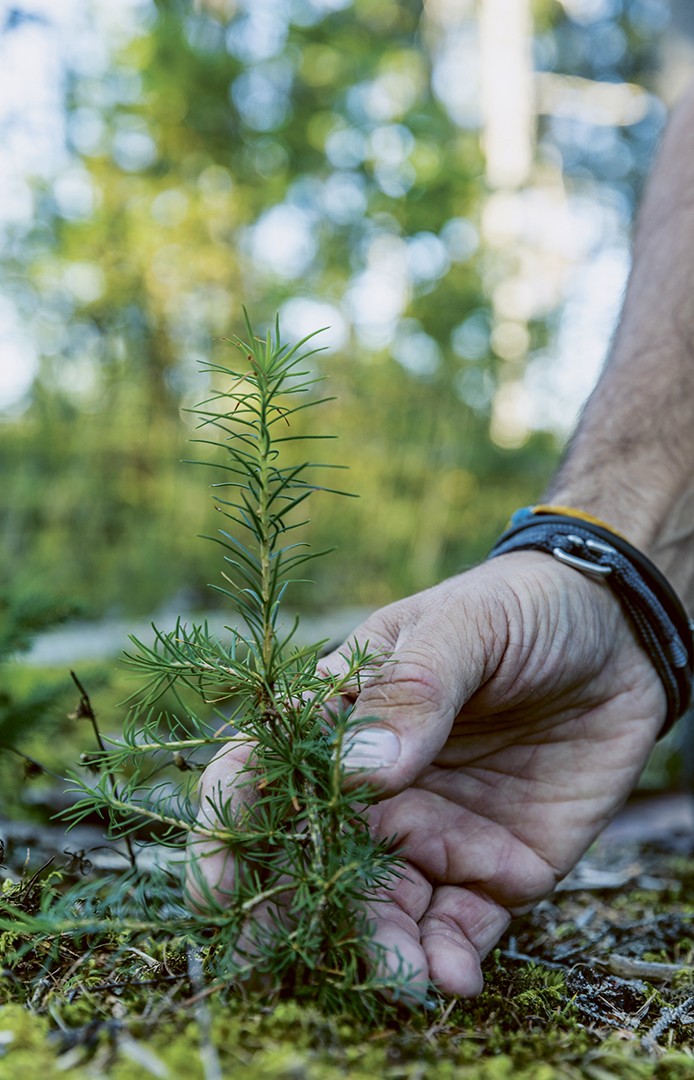 Weggefährten für Klimafitness gesucht.